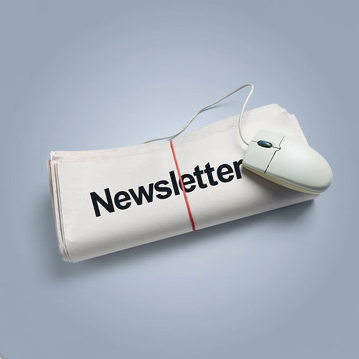 Newsletter 2026 II